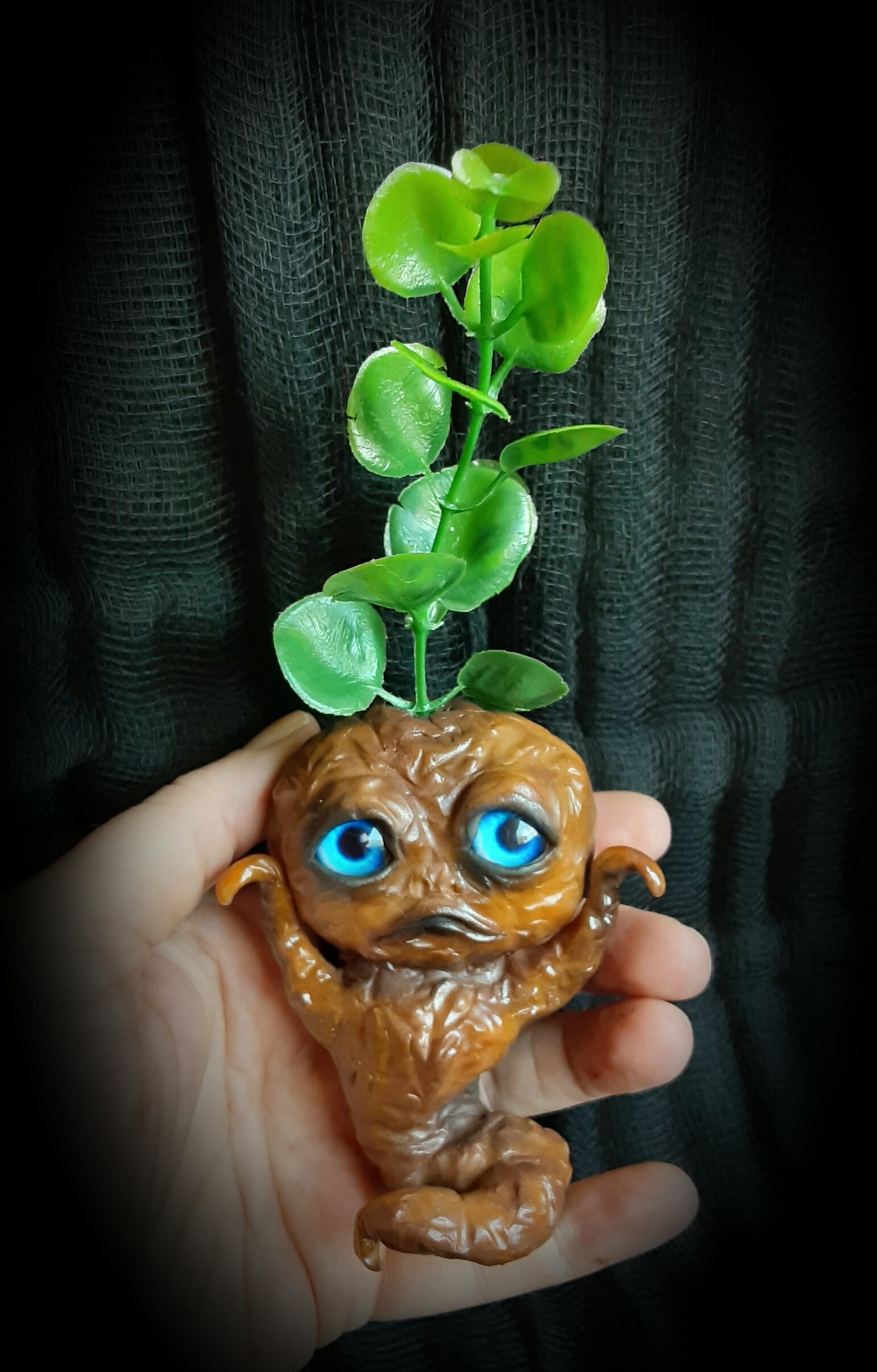 BABY MANDRAKE "CLAY"