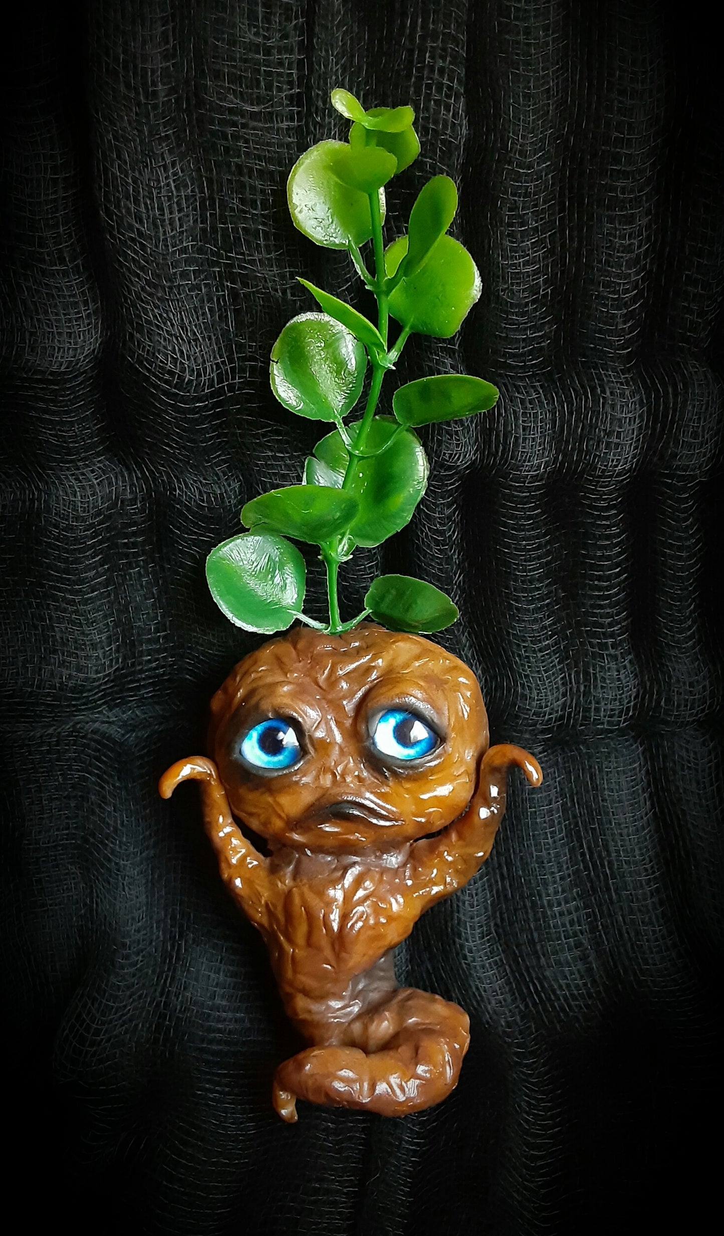BABY MANDRAKE "CLAY"
