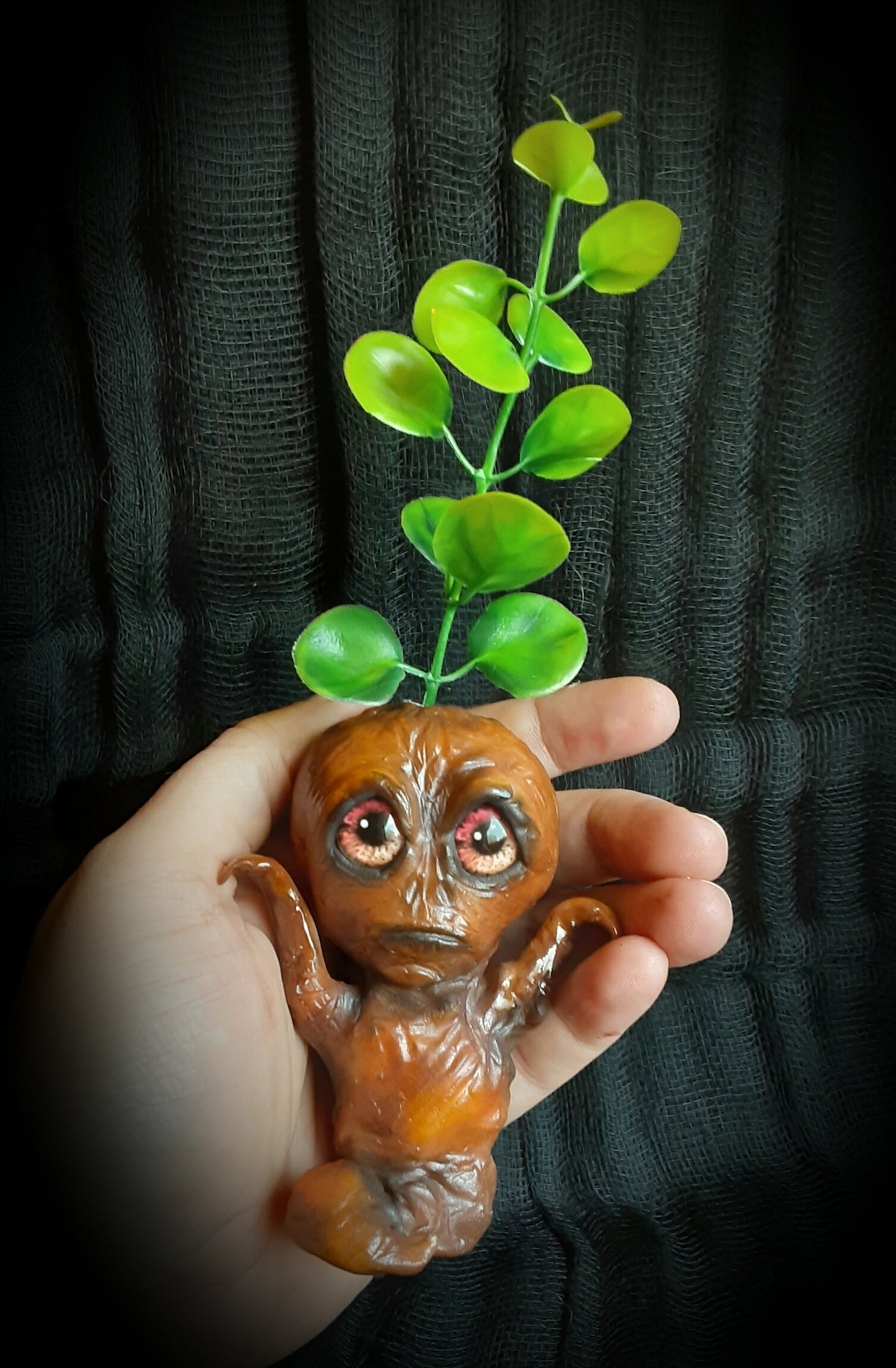 BABY MANDRAKE "SILT"