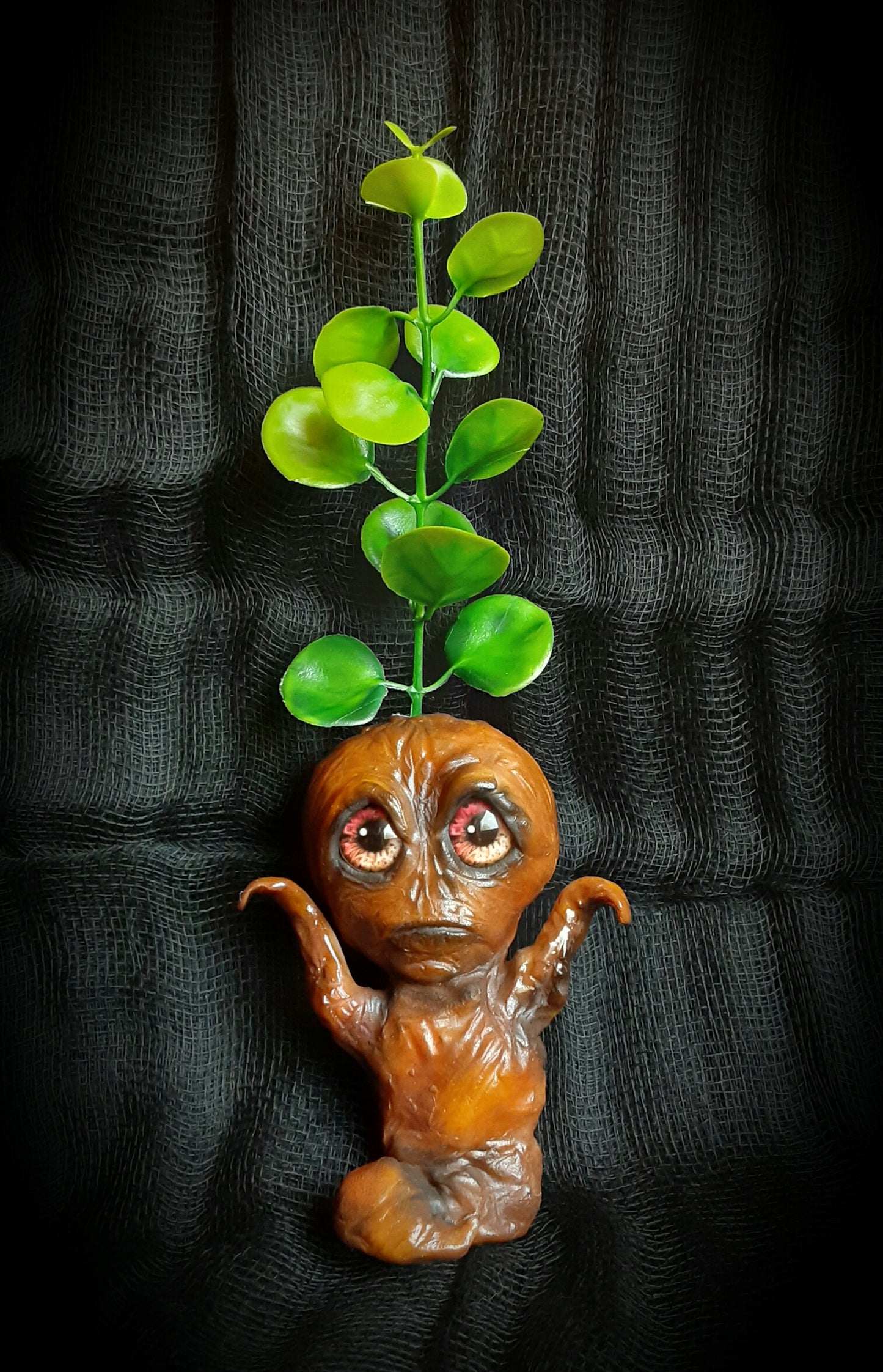 BABY MANDRAKE "SILT"